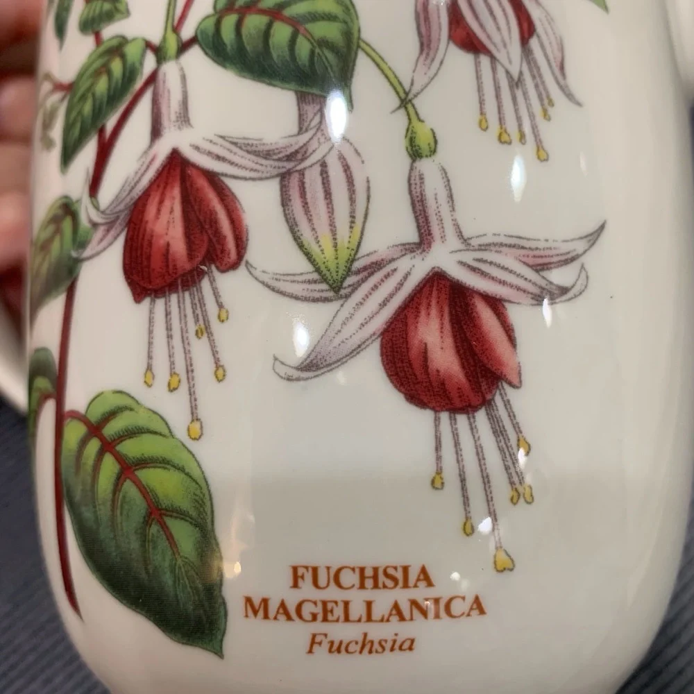 Portmeirion Botanic Garden 30 Oz Measuring Jug Fuchsia Magellanica.
